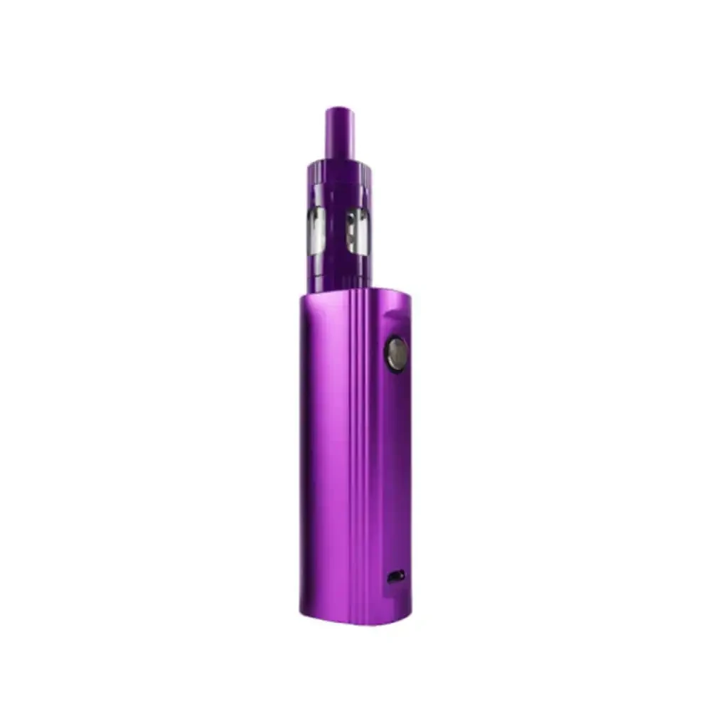 Innokin Endura T22e Vape Kit Purple