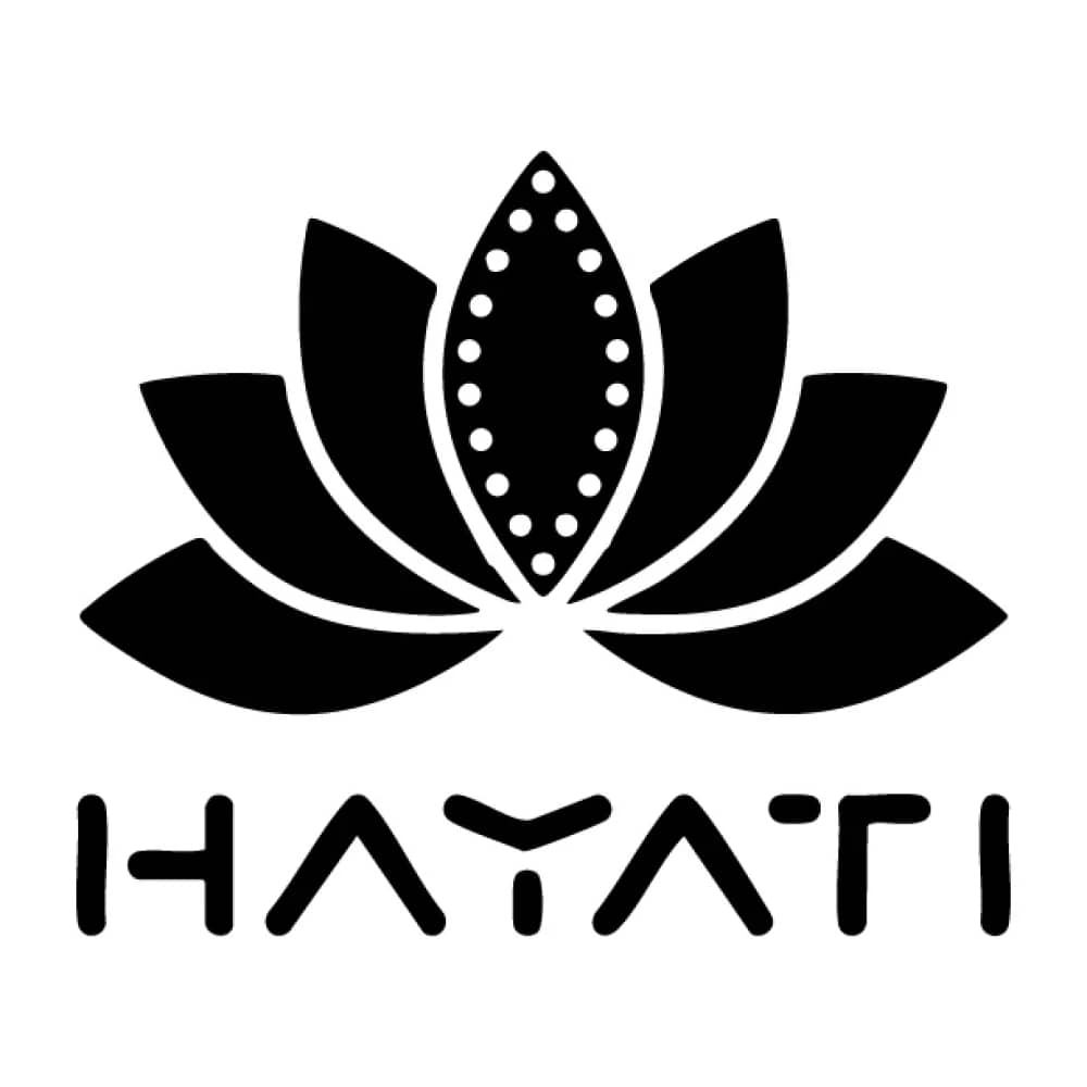 Hayati Stack Starter Vape Kit