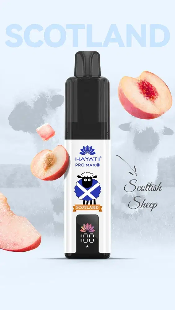 Hayati Pro Max+ Souvenir Edition (Scotland) 6k | Box of 5 Juicy Peach (Scottish Sheep)