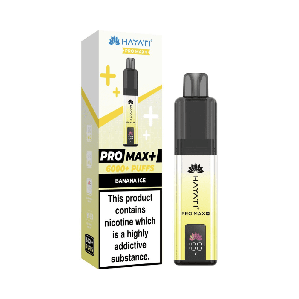 6000 Puffs Prefilled Vape Kit